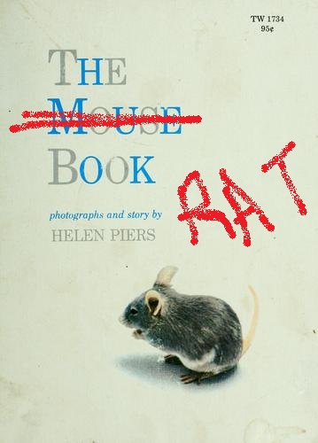 The Book Rat